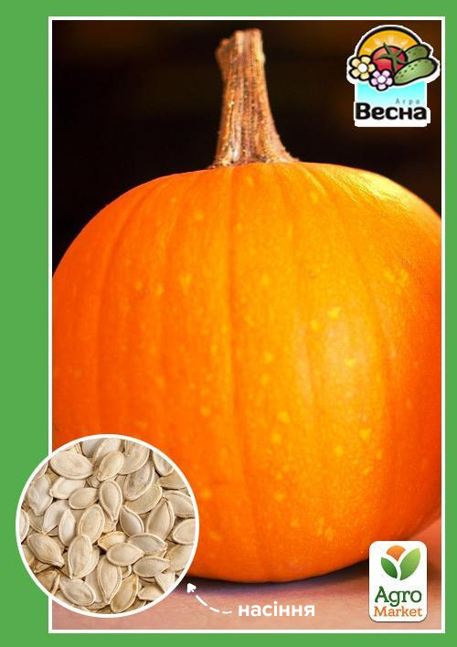 Гарбуз "Медовий" ТМ "Весна" 2г