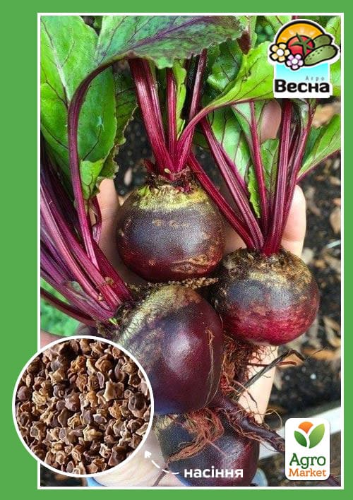 Буряк "Бича кров" (Новий пакет) ТМ "Весна" 2г