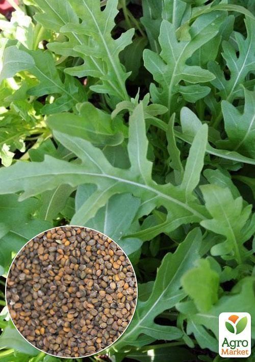 На развес Салат "Руккола" ТМ "Весна" цена за 10г