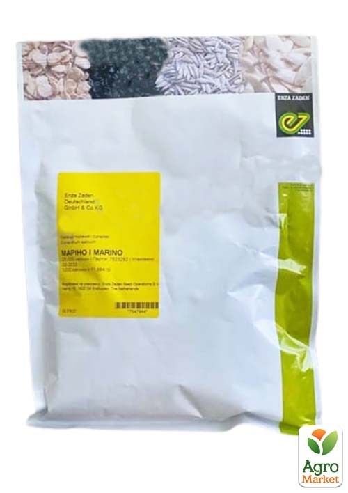 Коріандр "Марино" ТМ "Enza Zaden" 25000шт