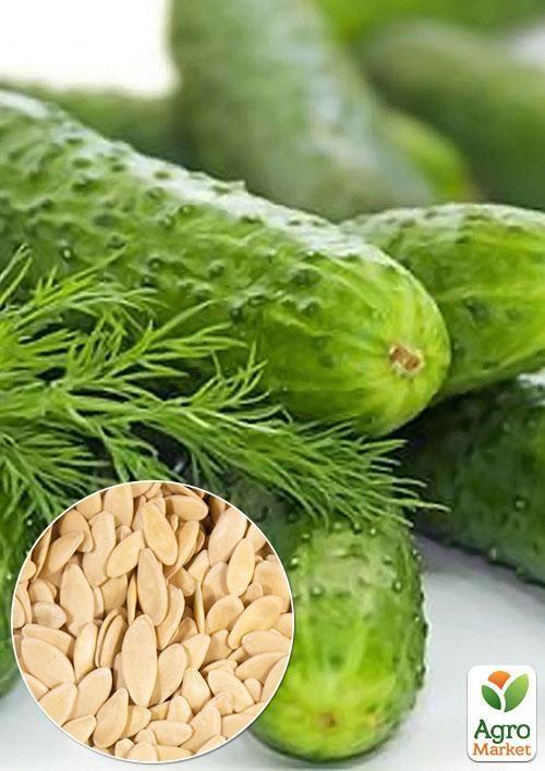 На вагу Огірок "Біляївський" ТМ "Весна" ціна за 2г