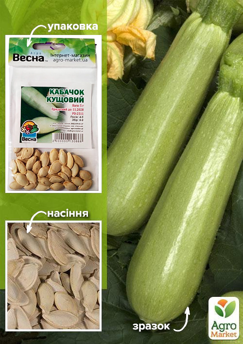 Кабачок "Кущовий" (Зипер) ТМ "Весна" 5г