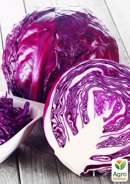 На развес Капуста краснокочанная "Кода" ТМ "Весна" цена за 2г - фото 2
