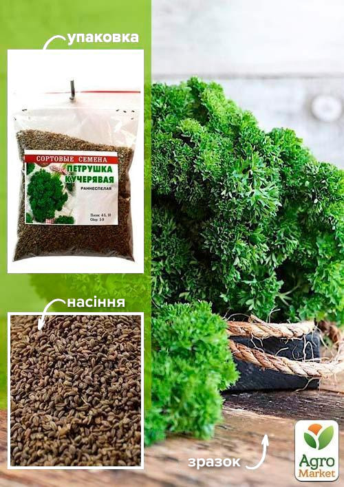 Петрушка "Кучерявая" ТМ "Весна" 100г