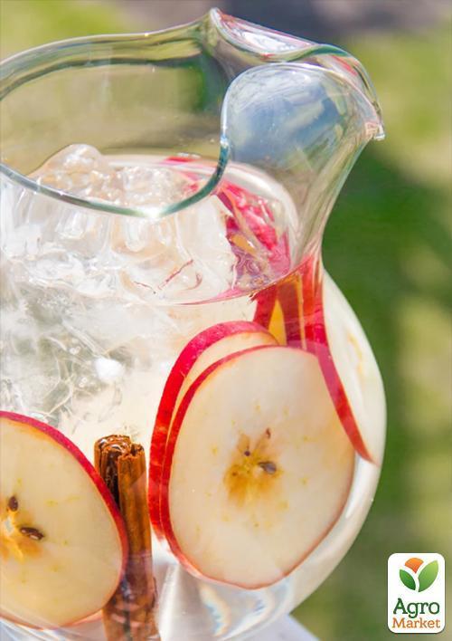 Яблоня "Глостер" (зимний сорт, поздний срок созревания) - фото 5