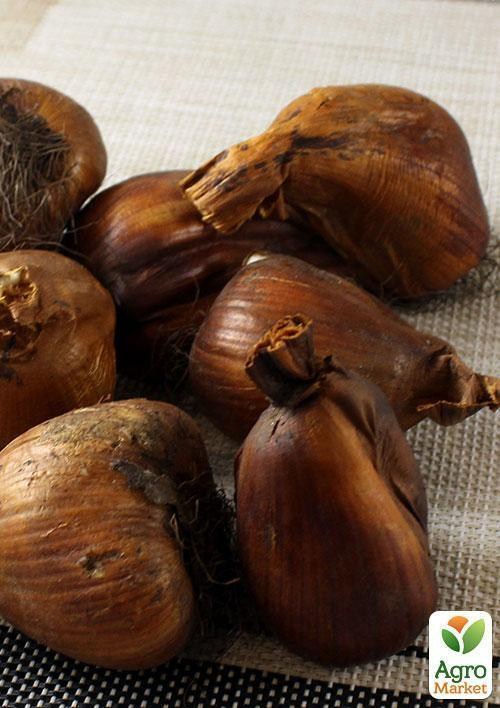 Колхикум "Tenorii" 1шт в упаковці - фото 2