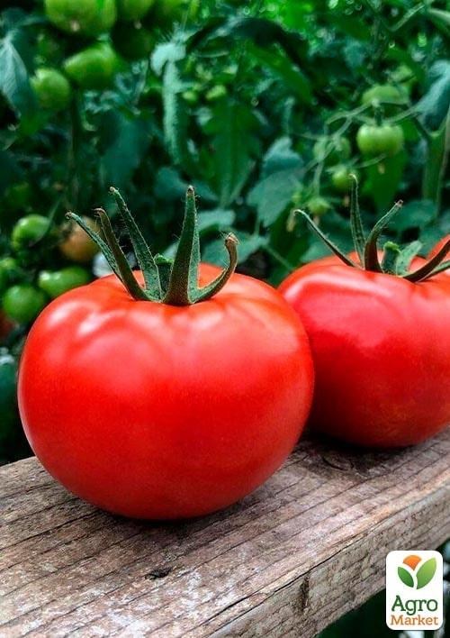 Томат індетермінантний "Клад F1" ТМ "Lark Seeds" 250шт
