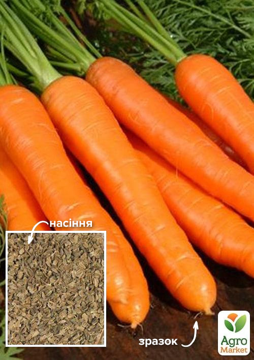 Морковь "Шантане королевская" ТМ "Весна" 100г