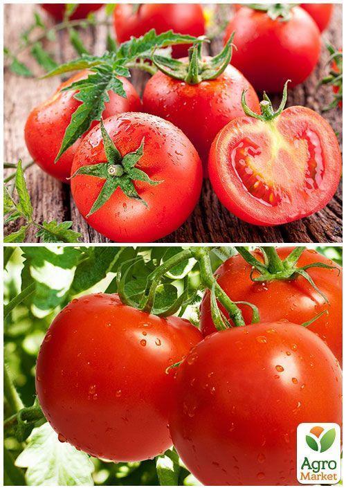 На вагу Томат "Гібрид Тарасенко 6" ТМ "Весна" ціна за 1г - фото 4