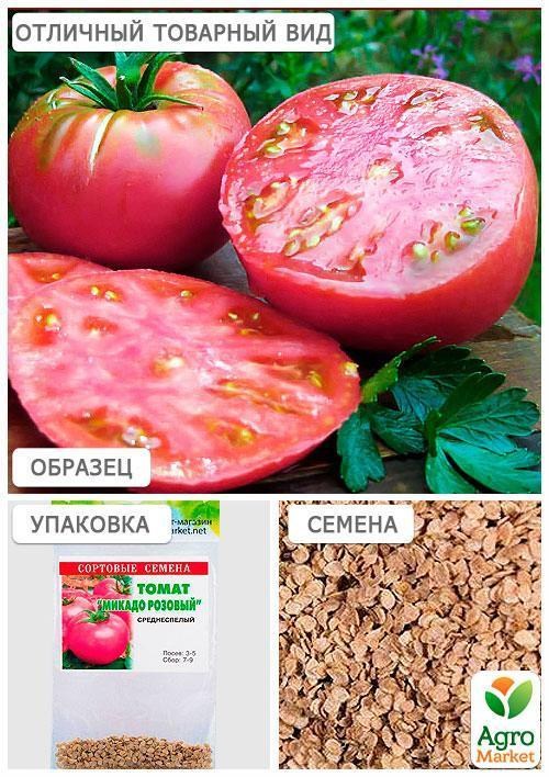 Томат "Микадо розовый" (Зипер) ТМ "Весна" 0.5г - фото 3