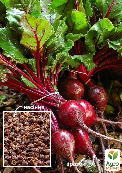 Буряк "Циганочка" ТМ "Весна" 100г