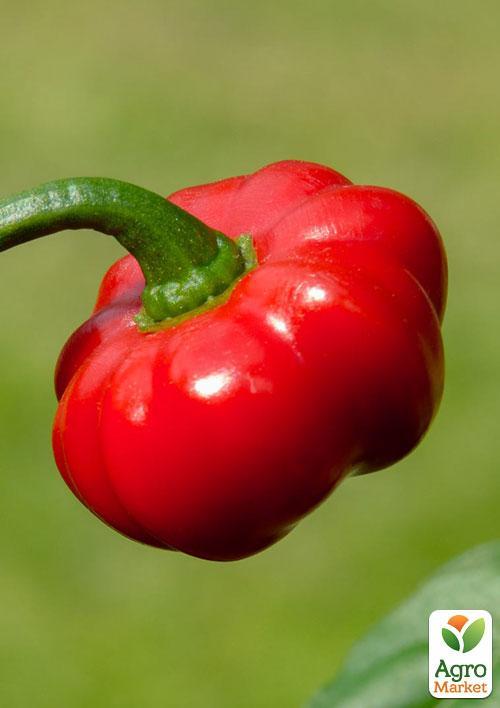 Перец "Мариша" ТМ "Vesna Select" 20шт - фото 2