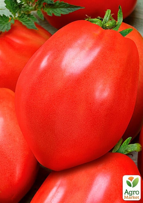 Томат "Лагидный" (Зипер) ТМ "Весна" 0,5г - фото 2