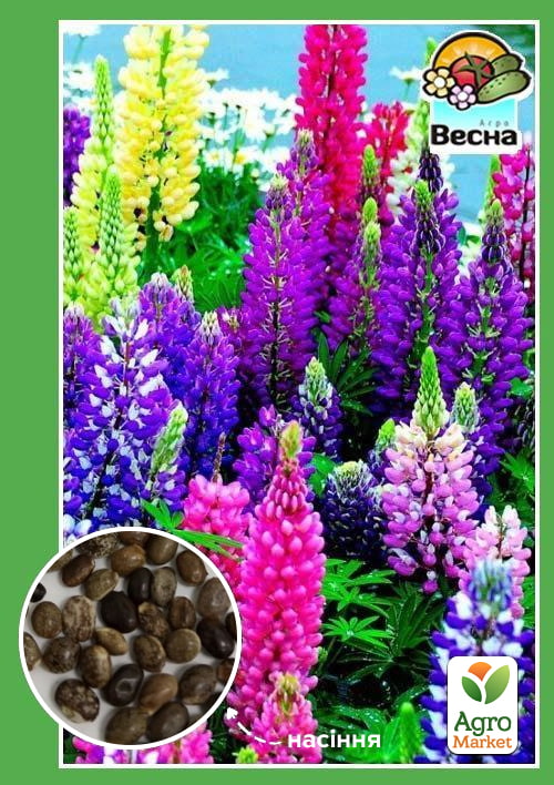 Люпин многолетний ТМ "Весна" 0.4г