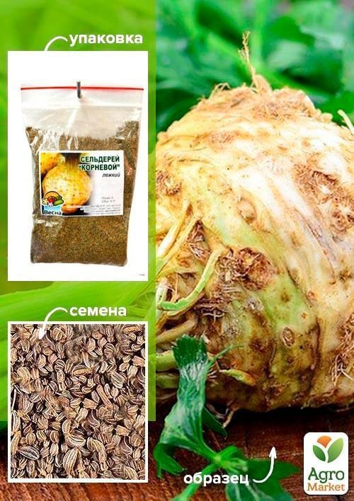 Сельдерей корневой ТМ "Весна" 100г