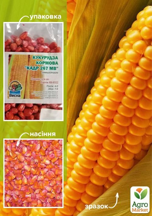 Кукурудза кормова "Кадр 267" ТМ "Весна" 100г