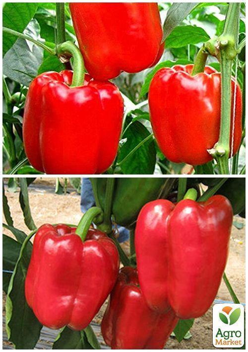 На развес Перец "Калифорнийское чудо" ТМ "Весна" цена за 1г - фото 3