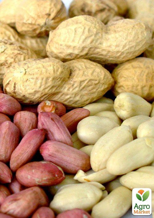 Арахіс "Валенсія Українська" ТМ "Vesna Select" 10шт - фото 6