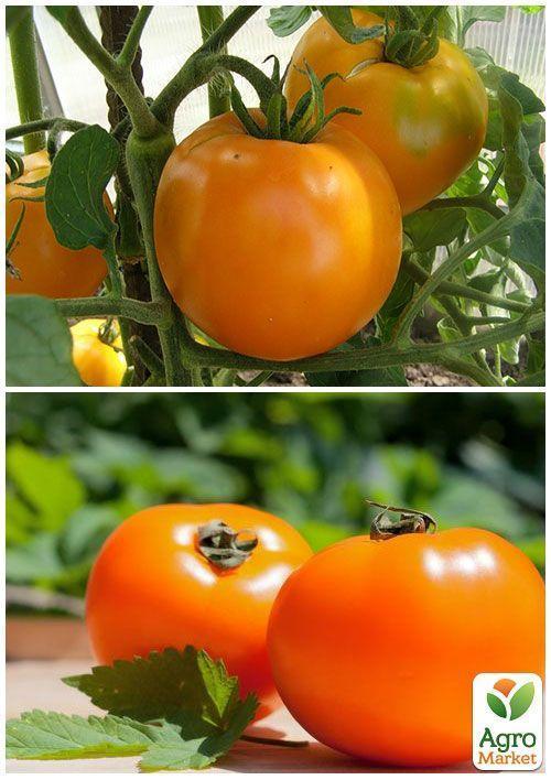 На развес Томат "Хурма" ТМ "Весна" цена за 1г - фото 2