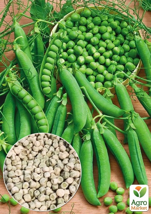 Горох "Ланковий" ТМ "Весна" 100г