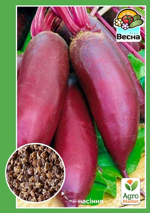 Свекла "Рокет" ТМ "Весна" 2г