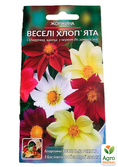 Жоржина "Веселі хлопці" ТМ "Весна" 0.2г - фото 2