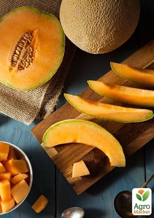 Дыня "Берегиня"  (в банке) ТМ "Весна Органик" 25г