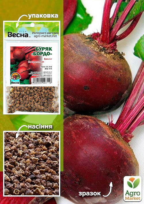Свекла "Бордо" (Зипер) ТМ "Весна" 6г