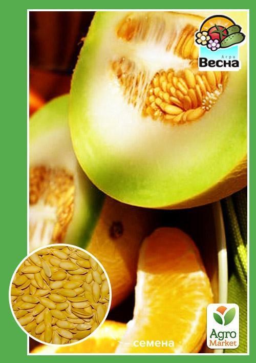 Дыня "Дидона" ТМ "Весна" 1.5г