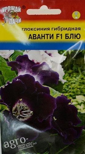 Глоксиния "Аванти F1 Блю" ТМ "Урожай у дачи" 3шт