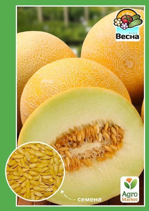 Дыня "Медок" ТМ "Весна" 1.5г