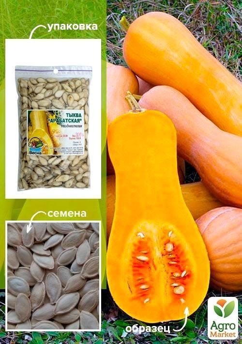 Гарбуз "Арабатський ТМ "Весна" 100г