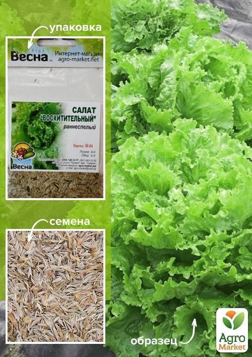 Салат "Восхитительний" (Зипер) ТМ "Весна" 3г