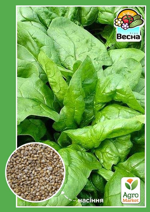 Шпинат "Жирнолистий" (Новий пакет) ТМ "Весна" 2г