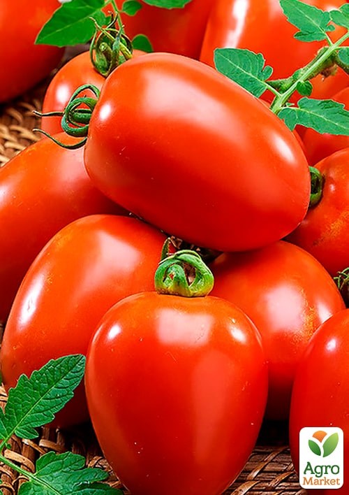 Томат "Рио Гранде" (Зипер) ТМ "Весна"1г - фото 2