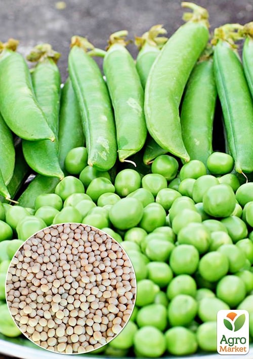 Горох "Липтон" ТМ "Весна" 100г