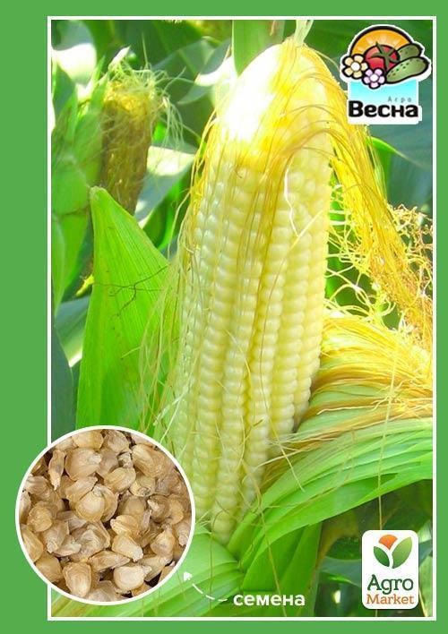 Кукурудза "Русалка" ТМ "Весна" 10г