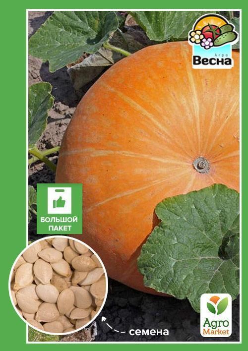 Гарбуз "Стофунтовий" (Великий пакет) ТМ "Весна" 8г