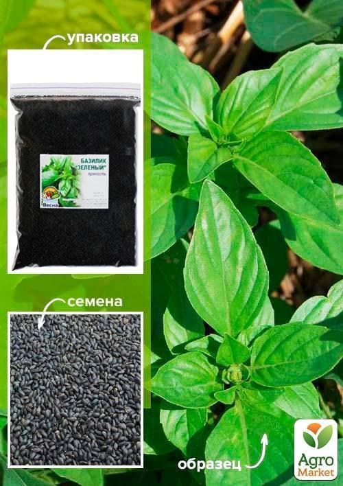Базилік "Зелений" ТМ "Весна" 500г