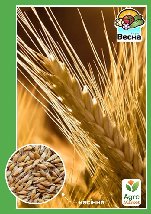 Ячмень яровой "Сталкер" ТМ "Весна" 10кг