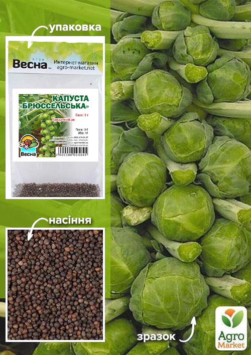 Капуста "Брюссельська" (Зипер) ТМ "Весна" 1г