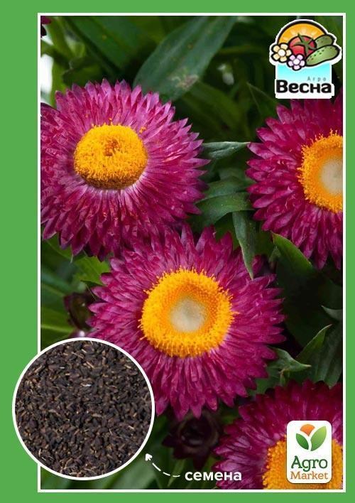 Гелихризум "Бессмертник" ТМ "Весна" 0.2г
