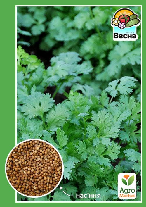 Кориандр "Кинза" ТМ "Весна" 3г