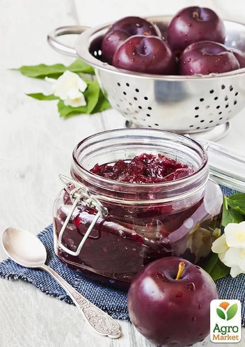 Слива "Вилора"