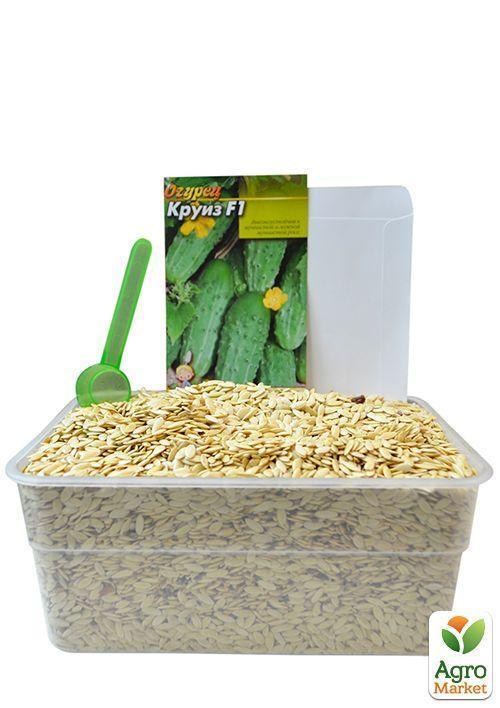 На развес Огурец "Круиз F1" ТМ "Весна" цена за 4г - фото 2