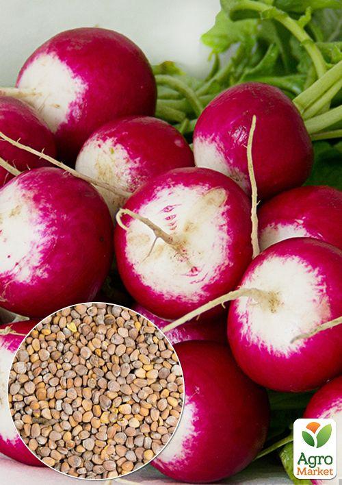 На вагу Редис "КБК" ТМ "Весна" ціна за 10г