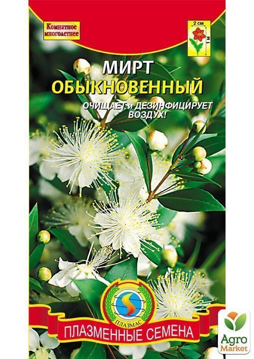 Мирт обыкновенный ТМ "Плазменные семена" 0,1г