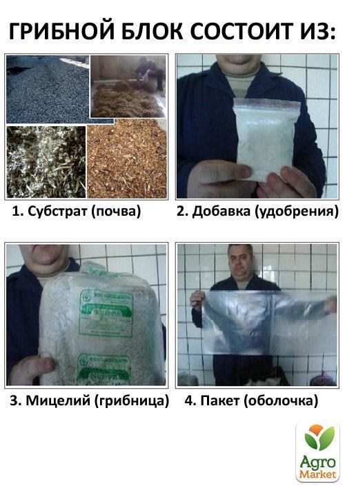 Комплект грибовода (Вешенка)