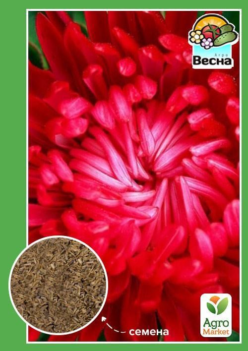 Астра "Алые паруса" ТМ "Весна" 0.2г