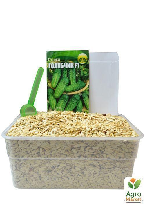 На вагу Огірок "Голубчик F1" ТМ "Весна" ціна за 2г - фото 4